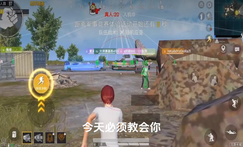 和平精英「毛豆直装」辅助外挂
